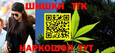 крисы Сланцы