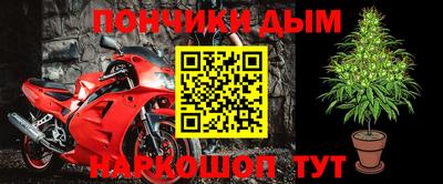 крисы Сланцы