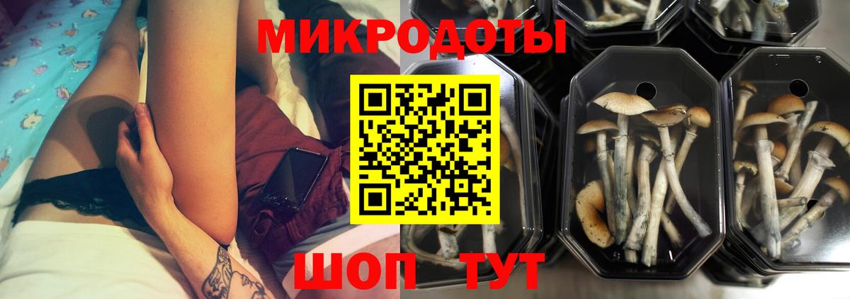 Галлюциногенные грибы Psilocybine cubensis Октябрьский